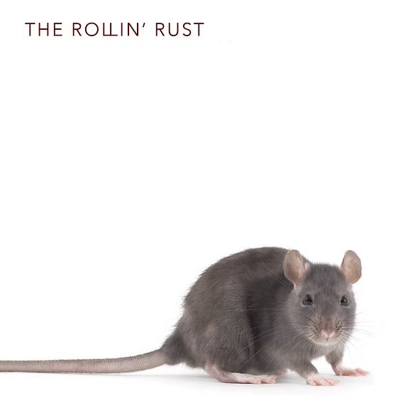 Road Rats CD